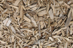 biomass boilers Stoneygate